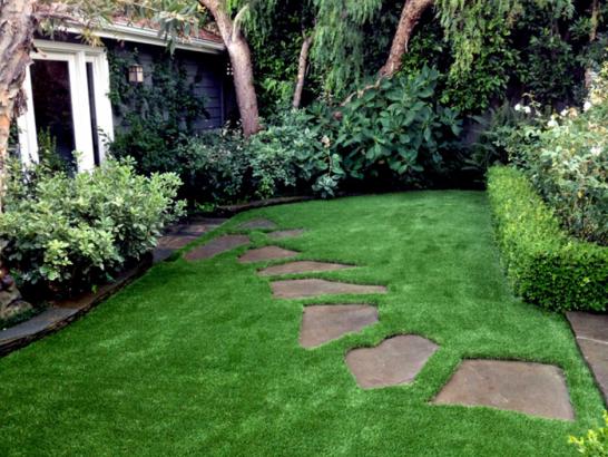 Artificial Grass Photos: Artificial Turf San Ramon, California City Landscape, Backyard Landscape Ideas