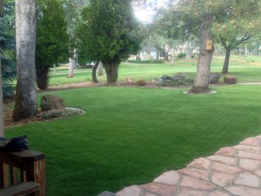 Artificial Grass Photos: Artificial Turf Shackelford, California Gardeners, Front Yard Landscaping Ideas