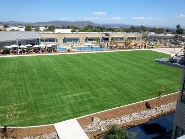 Artificial Grass Photos: Artificial Turf Waterloo, California Stadium, Commercial Landscape