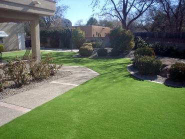Artificial Grass Photos: Best Artificial Grass Belmont, California Landscape Design, Front Yard Landscaping