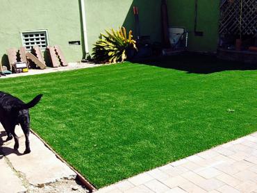 Artificial Grass Photos: Best Artificial Grass Bodega Bay, California Dogs, Backyards