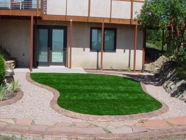 Artificial Grass Photos: Best Artificial Grass Corralitos, California Design Ideas, Small Front Yard Landscaping