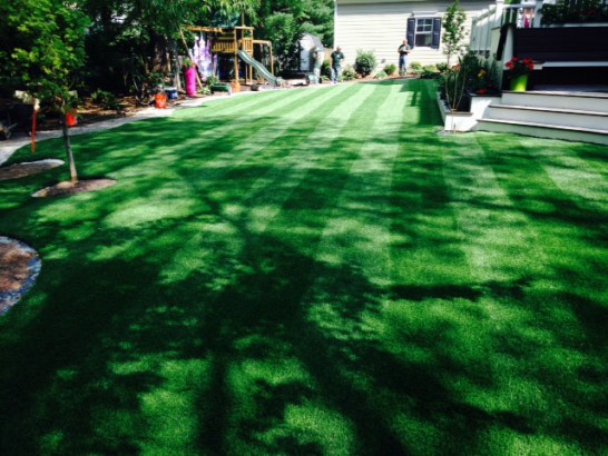 Artificial Grass Photos: Best Artificial Grass Davis, California Landscape Ideas, Backyard