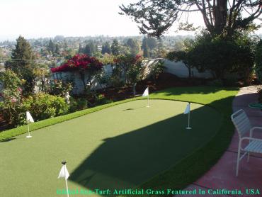 Artificial Grass Photos: Best Artificial Grass Milpitas, California Putting Green Carpet, Backyard Makeover