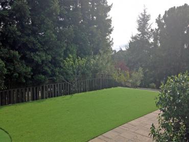 Artificial Grass Photos: Best Artificial Grass Pioneer, California Backyard Deck Ideas, Backyard