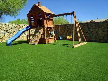Artificial Grass Photos: Best Artificial Grass Rancho Calaveras, California Landscape Ideas, Backyard