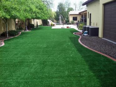 Best Artificial Grass Redwood City, California City Landscape, Backyard Makeover artificial grass