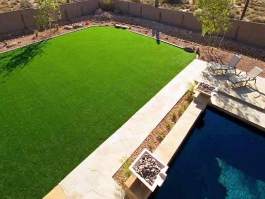 Artificial Grass Photos: Best Artificial Grass Rio Del Mar, California Home And Garden, Backyard Design