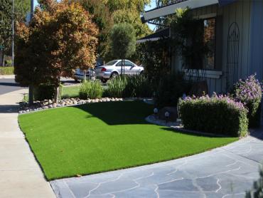 Artificial Grass Photos: Best Artificial Grass Roseville, California Backyard Deck Ideas, Front Yard Landscaping Ideas