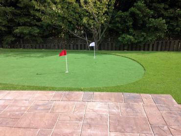 Artificial Grass Photos: Best Artificial Grass San Ardo, California Landscape Ideas, Backyard Ideas