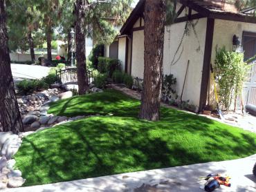 Artificial Grass Photos: Best Artificial Grass San Mateo, California, Front Yard Landscape Ideas