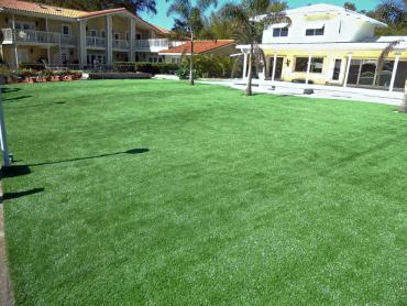 Artificial Grass Photos: Best Artificial Grass Suisun, California Roof Top, Pool Designs