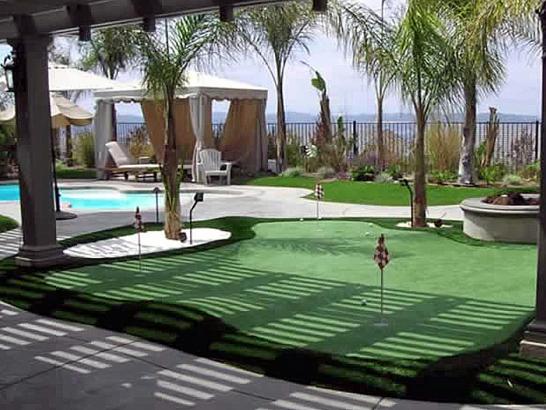 Artificial Grass Photos: Best Artificial Grass Tara Hills, California Backyard Putting Green, Backyard Pool