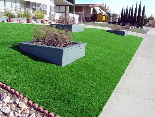 Artificial Grass Photos: Fake Grass August, California Landscape Ideas, Front Yard Landscaping Ideas
