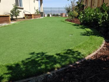 Artificial Grass Photos: Fake Grass Carpet Antioch, California City Landscape, Beautiful Backyards