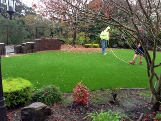 Artificial Grass Photos: Fake Grass Carpet Burbank, California Backyard Deck Ideas, Backyard