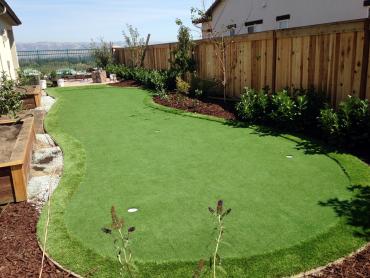 Artificial Grass Photos: Fake Grass Carpet Cottonwood, California Landscape Rock, Backyard Design