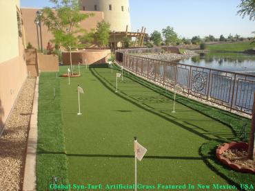 Artificial Grass Photos: Fake Grass Carpet Fruitdale, California Putting Green Grass, Backyard