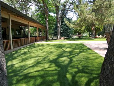 Artificial Grass Photos: Fake Grass Carpet Linden, California Drainage, Backyard Design