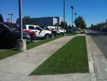 Artificial Grass Photos: Fake Grass Carpet Live Oak, California Landscaping, Commercial Landscape