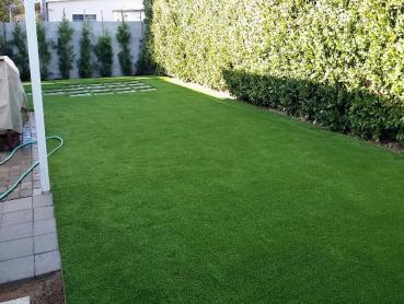 Artificial Grass Photos: Fake Grass Carpet Monte Rio, California Roof Top, Backyard Ideas