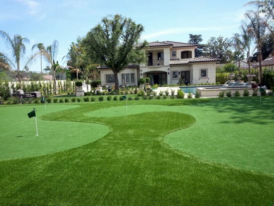 Artificial Grass Photos: Fake Grass Carpet Moraga, California Putting Green Grass, Front Yard Ideas