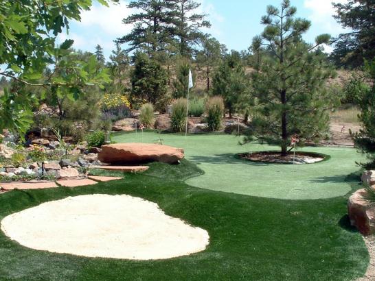 Artificial Grass Photos: Fake Grass Carpet Muir Beach, California Lawn And Garden, Small Backyard Ideas