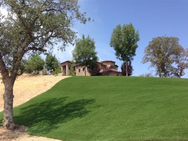 Artificial Grass Photos: Fake Grass Carpet Sausalito, California Gardeners, Front Yard Landscape Ideas