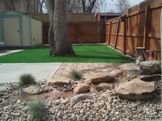 Artificial Grass Photos: Fake Grass Carpet Sonoma, California Landscaping, Backyard Landscape Ideas