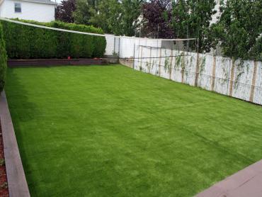 Artificial Grass Photos: Fake Grass Carpet Stevinson, California Lawn And Landscape, Beautiful Backyards