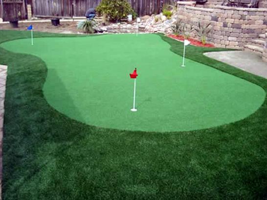 Artificial Grass Photos: Fake Grass Carpet Strawberry, California Putting Green Grass, Backyard Landscape Ideas