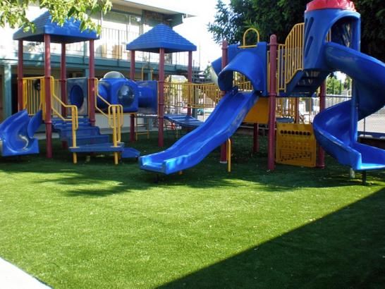 Artificial Grass Photos: Fake Grass Carpet Tres Pinos, California Indoor Playground, Commercial Landscape