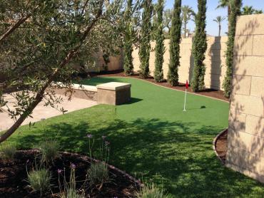 Artificial Grass Photos: Fake Grass Carpet West Point, California Putting Green Flags, Backyard Landscape Ideas