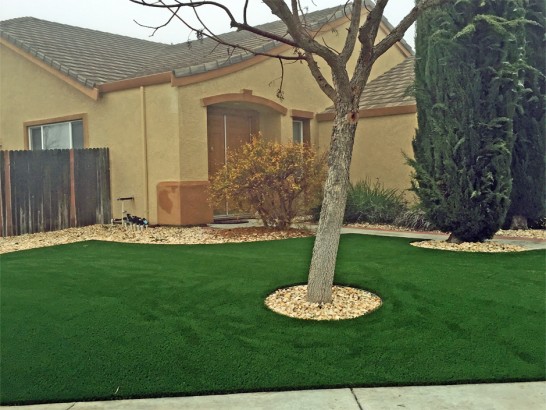 Artificial Grass Photos: Fake Grass Courtland, California Lawn And Garden, Front Yard Design