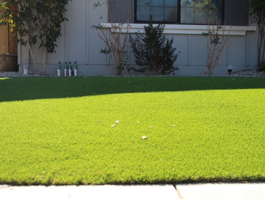 Artificial Grass Photos: Fake Grass Dogtown, California Landscaping, Small Front Yard Landscaping