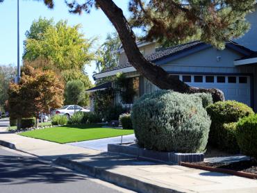 Artificial Grass Photos: Fake Grass Guerneville, California Landscape Ideas, Small Front Yard Landscaping