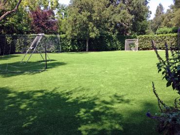 Artificial Grass Photos: Fake Grass Hercules, California Landscaping Business, Backyard Garden Ideas