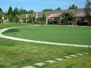 Artificial Grass Photos: Fake Grass Madison, California Landscape Photos, Commercial Landscape