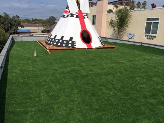 Artificial Grass Photos: Fake Grass Monte Sereno, California Landscape Ideas, Veranda