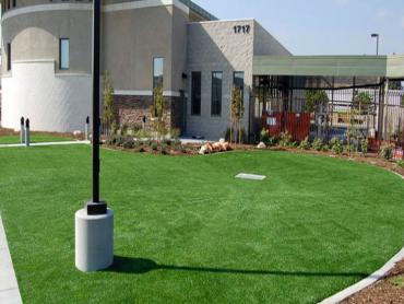 Artificial Grass Photos: Fake Grass Murphys, California Lawn And Garden, Commercial Landscape