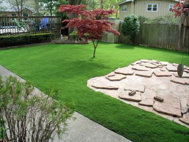 Artificial Grass Photos: Fake Grass Petaluma, California Landscaping Business, Backyard Design