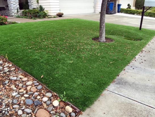 Artificial Grass Photos: Fake Grass Rollingwood, California Rooftop, Small Front Yard Landscaping