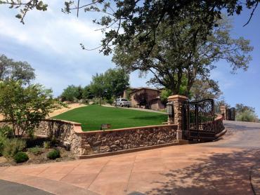 Artificial Grass Photos: Fake Grass San Joaquin, California Lawn And Garden, Front Yard Landscaping