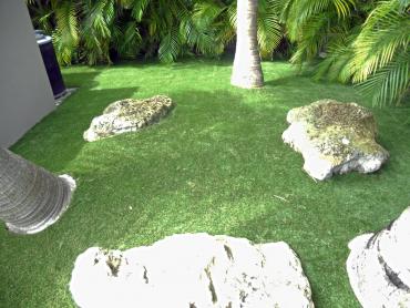 Artificial Grass Photos: Fake Grass Scotts Valley, California Lawn And Landscape, Backyard Designs