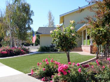 Artificial Grass Photos: Fake Grass Twain Harte, California Gardeners, Small Front Yard Landscaping