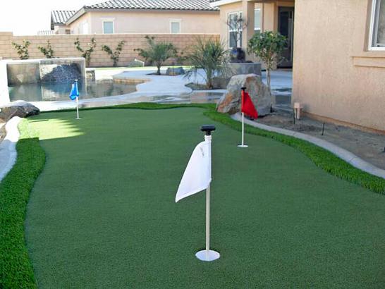 Artificial Grass Photos: Fake Grass Vallejo, California Lawn And Garden, Backyard Landscaping Ideas