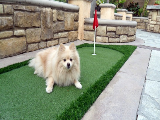 Artificial Grass Photos: Fake Grass Valley Home, California Dog Grass, Dogs