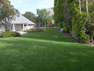Artificial Grass Photos: Fake Grass Vineyard, California Paver Patio, Front Yard Design