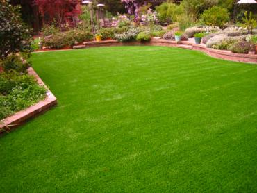 Artificial Grass Photos: Fake Lawn Amador City, California Landscaping Business, Backyard Designs