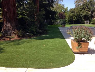 Artificial Grass Photos: Fake Lawn Benicia, California Dogs, Front Yard Landscaping